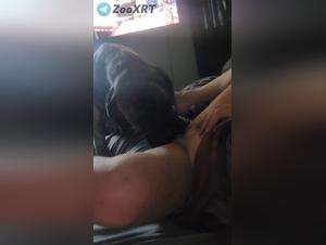 Prohibited delights, animal sex filmed in HD
