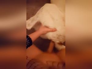 Sfruttamento estremo: la troia e il suo cane in un atto tabu