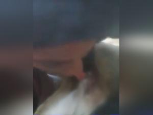 Bestiality Video: Teenage Girl and Dog in Explicit Sex Acts