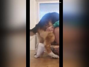 Bestiality: a woman and her dog in intimate and shocking moments
