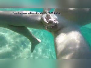 Bestiality video: A submissive female dog and a dog in a swimming pool