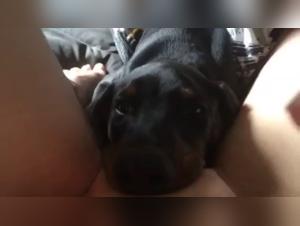 Hard and Extreme Scene: Sex With Dog