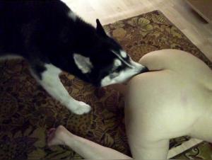 Discover Kasia's antics with her faithful canine companion