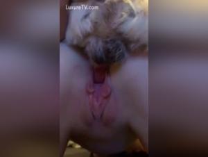 Vidéo de sexe bestialité: une expérience unique