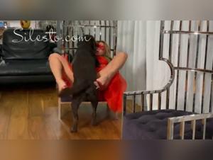 Schockierendes und aufregendes Tiersexvideo