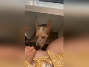 A unique beastly experience