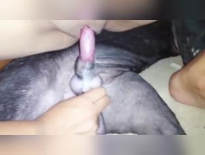 Dog sex video: an amateur bestiality experience