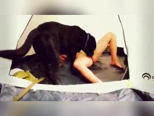 Trockener Arsch und Spritzer: Der Hund fickt Jenny Simpson