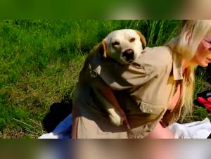 Watch Hot Sex Animals Videos and Sexy Chicks with Dogs