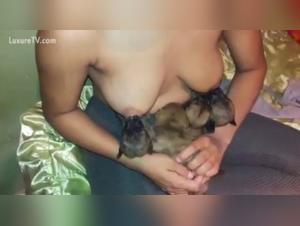 Shocking bestiality sex video