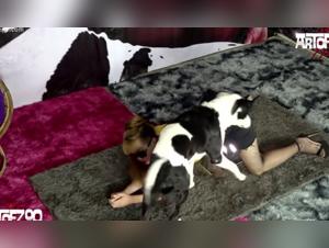 Exploring Ethical Boundaries