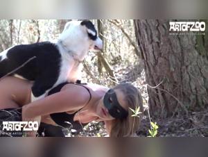 Zoophilia video: an extreme and shocking experience