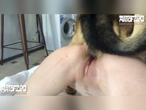 Explora los tabues de la bestialidad con una mujer con una mascara de encaje