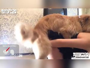 Explore le Bordel Zoophilique