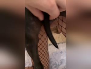 helpless voyeur, the sister and the dog in a trigger of prohibited desire
