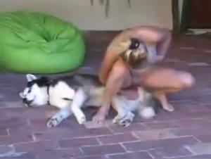 Zoophilia video with a dog