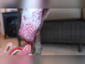 Presentazione e natura selvaggia: sesso con il cane