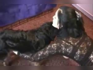 Bestiality sex: a teen and her four-legged companion