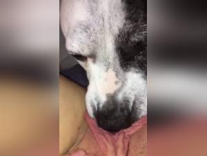 Extreme bestiality scene with a dog