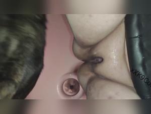 Zoofilia hardcore: il cane scopa senza pieta una BBW