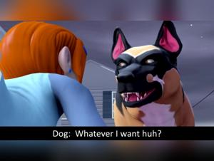 Zoophilia: a woman subjected to a dog and his master