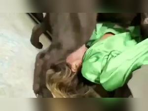 Sottomissione sensuale, un piacere condiviso con gli animali