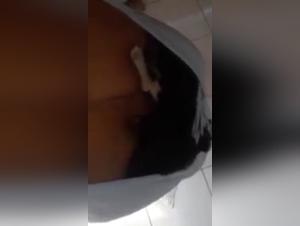 Dog Sex Video: A Shocking and Exciting Experience