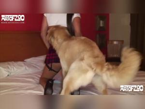 La pute baise avec son chien : un film erotique