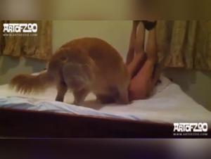 Bestiality and Extreme Sex with a Horse