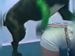 Explore the limits of intimacy in this vintage BFI video