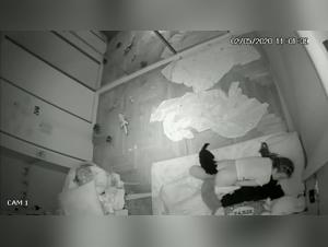 TickZooTV: Where Lines Blur