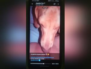 alisionprod investigates the dark truth