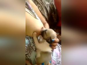 Bestiality Sex Video with a Woman and a Puppy