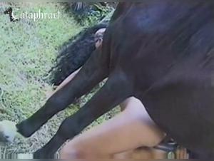 Dog Fucked by Poodle's Cock and Pussy Sucker