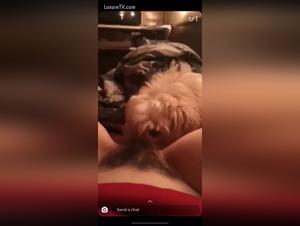 Funniest Animal Sex Tube with a Dog at 100%