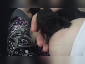 Discover the bestial and zoophilic universe of this unique video