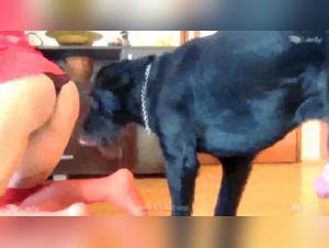 Frohes neues Jahr: Erkunden Sie Ariels dunkle Tiefen mit ihrem Hund