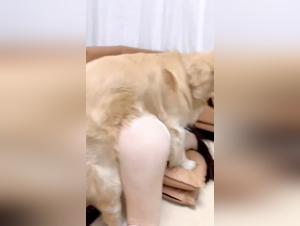 Extremer Sex: Mit einem Hund wilde Wunsche erkunden