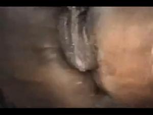 Experience intimate moments with animals