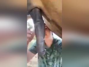 Unveiling Hidden Zoophilia Fantasies