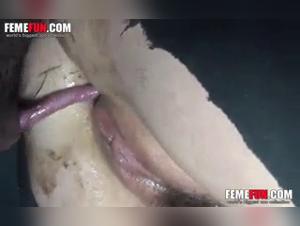 An extreme experience: zoophilia in a shocking video