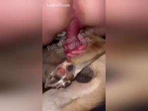 tiefe Knoten, Hundedienst und brennende Tatowierungen