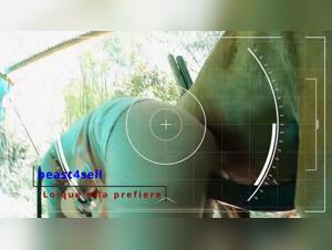 The sexy cat play with the handsome homestay