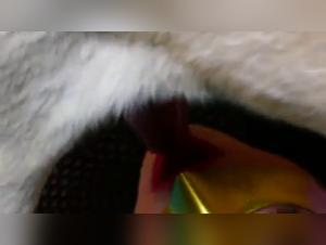 Extreme zoophilia video