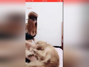 Into the Forbidden: A Dark Fantasy