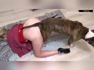 Zoophilia explosife: ohne Reservierungsorgasmen