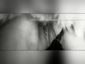 Découvrez les Limites de la Passion dans notre Vidéo Musicale Bestiale