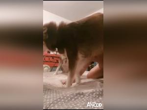  Milf Blonde Sucked by Dog