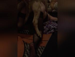 Sex video with a dog: a story of extreme zoophilia