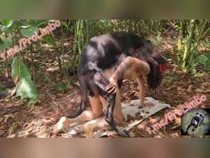 Discover Alison's new experience with her dog